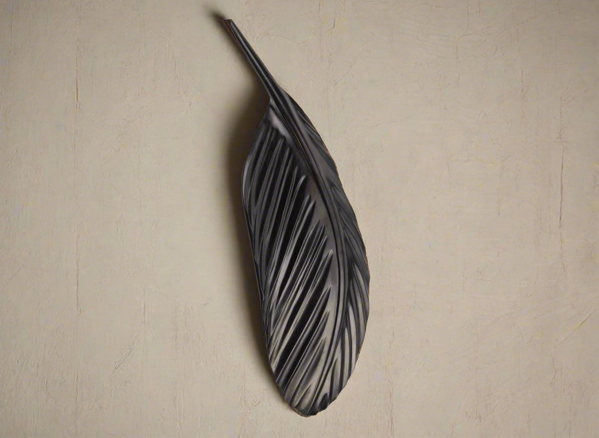 Tui wing feather 740mm - $790