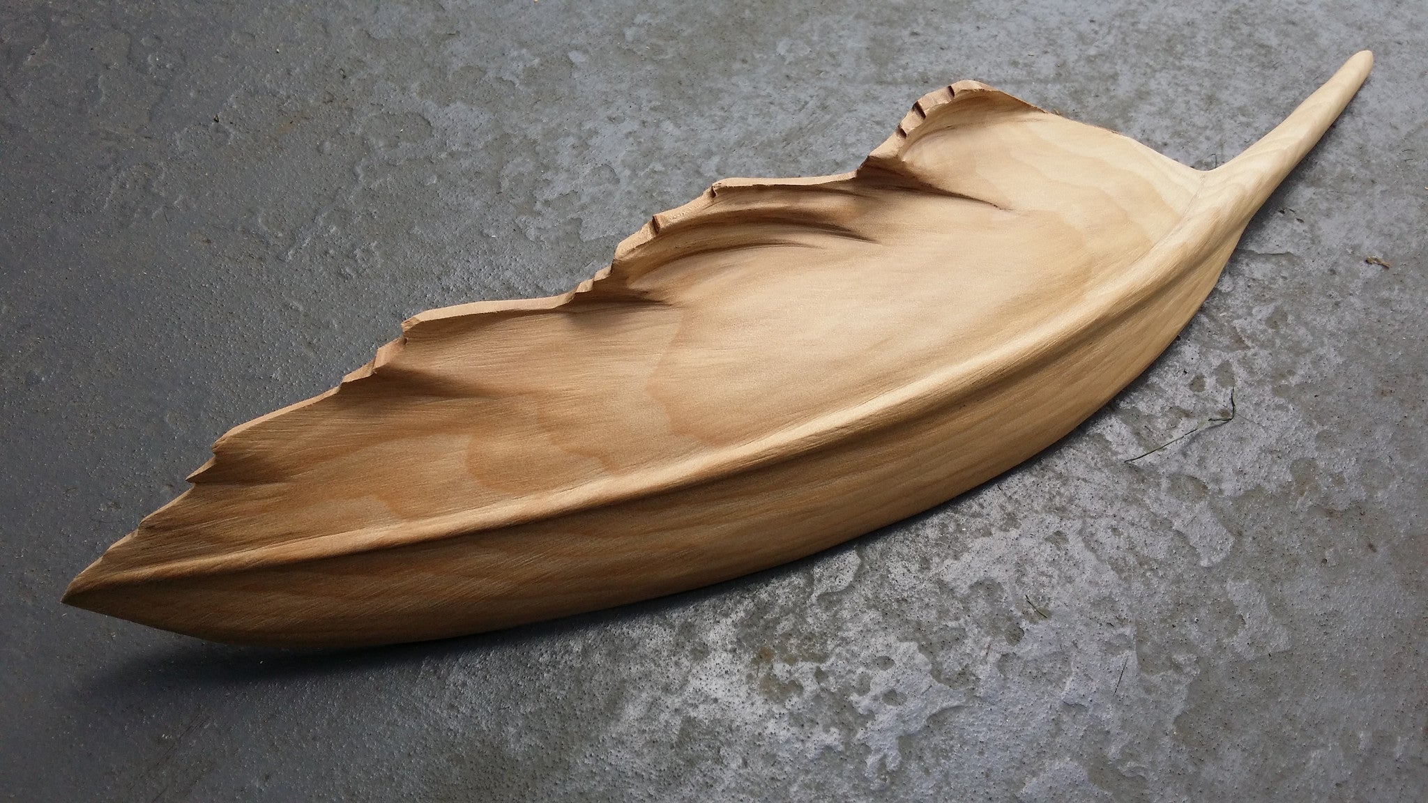 Karearea native falcom Native timbers 400mm length