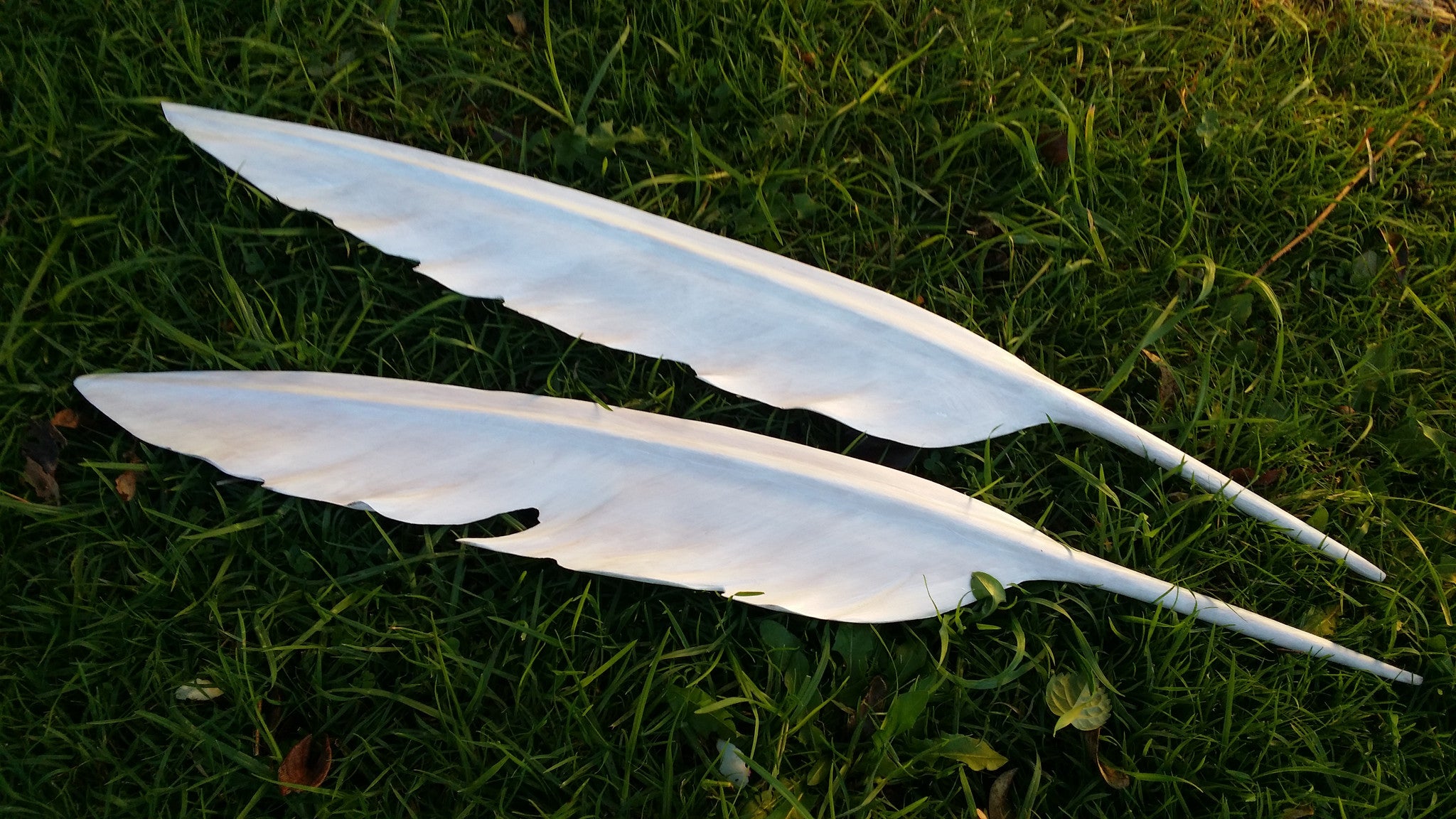 Huruhuru kōtuku, White Heron Feather 400mm $520