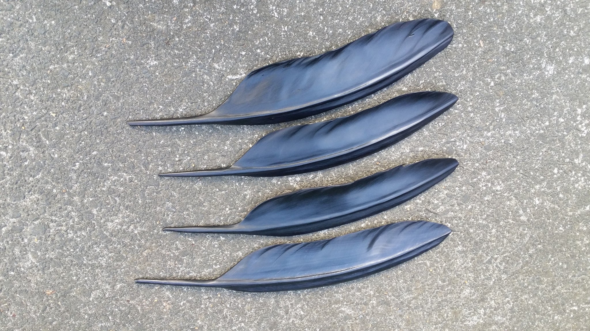 Pukeko feather 400mm $380