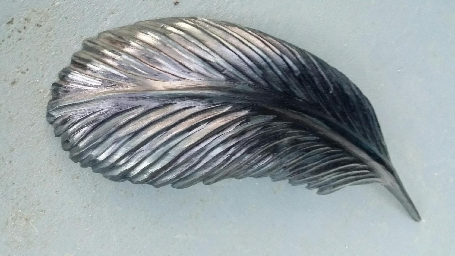 Tui breast feather 300mm - $350