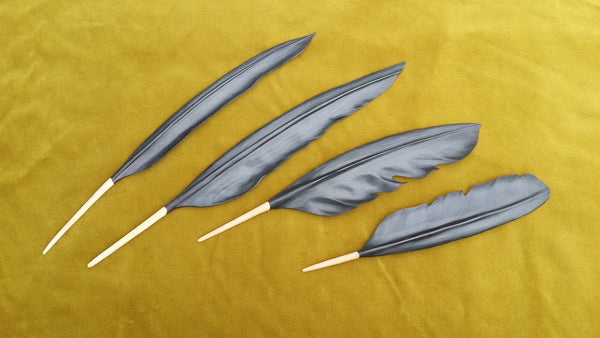 Huruhuru wing feather