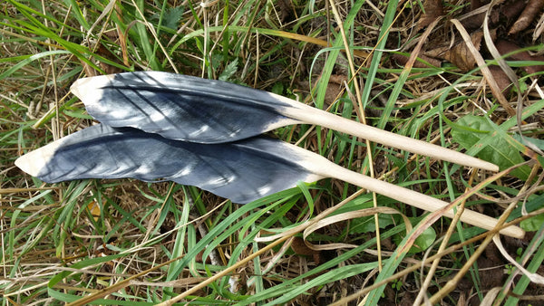 Huruhuru Karoro, Black Backed seagull feather
