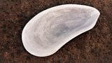 Mussel shell 500mm x 250mm clear timber finish on the outside