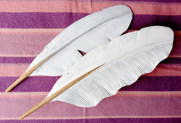 Inner Wing Feather